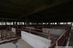 Deserted Pig Stall