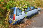 Overgrown Car