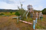 Overgrown Playground