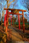 torii at the fox village