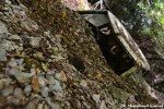 Abandoned Landslide Car