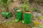 Abandoned Oil Drums