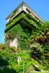 Beautiful Overgrown Resort&nbsp;Hotel