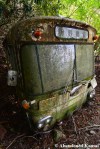Best Abandoned Bus