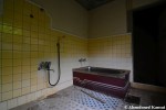 Japanese Mansion Bath