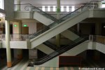 Abandoned Mall Escalators