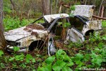 Abandoned Crashed Car