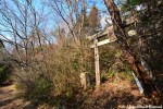 Abandoned Dolls Shrine&nbsp;Torii