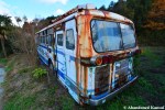 Beautifully Decayed Bus