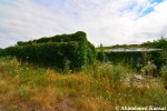 Abandoned Overgrown Plant Nursery
