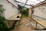 Deserted Plant Nursery Shed