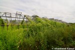 Overgrown Abandoned Greenhouse