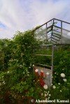 Overgrown Greenhouse