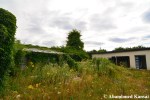 Overgrown Plant Nursery