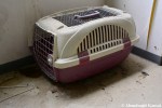 Abandoned Dog Carrier